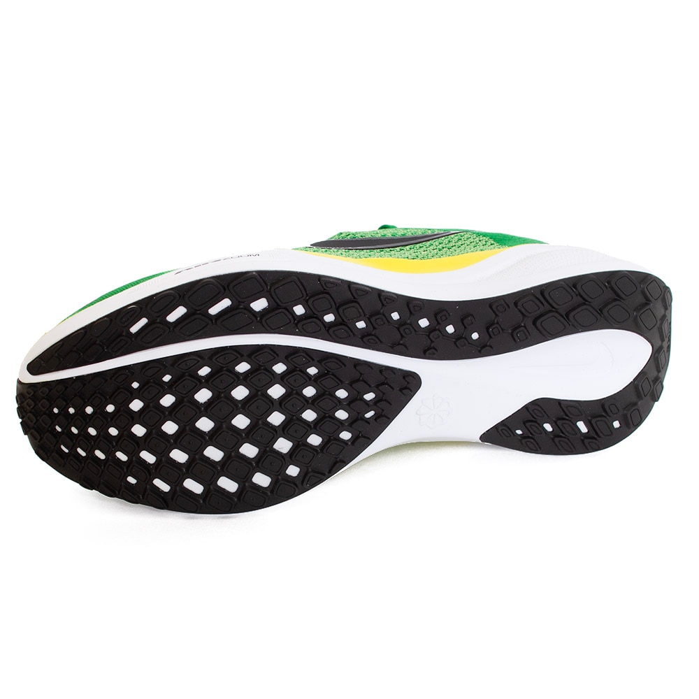 Classic Oregon O, Nike, Green, Shoe, Accessories, Unisex, Pegasus 41, 2025, 932405